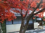 写真12.JPG